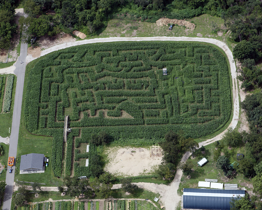 The Best Maze in NYC At Queens County Farm Museum New York Family