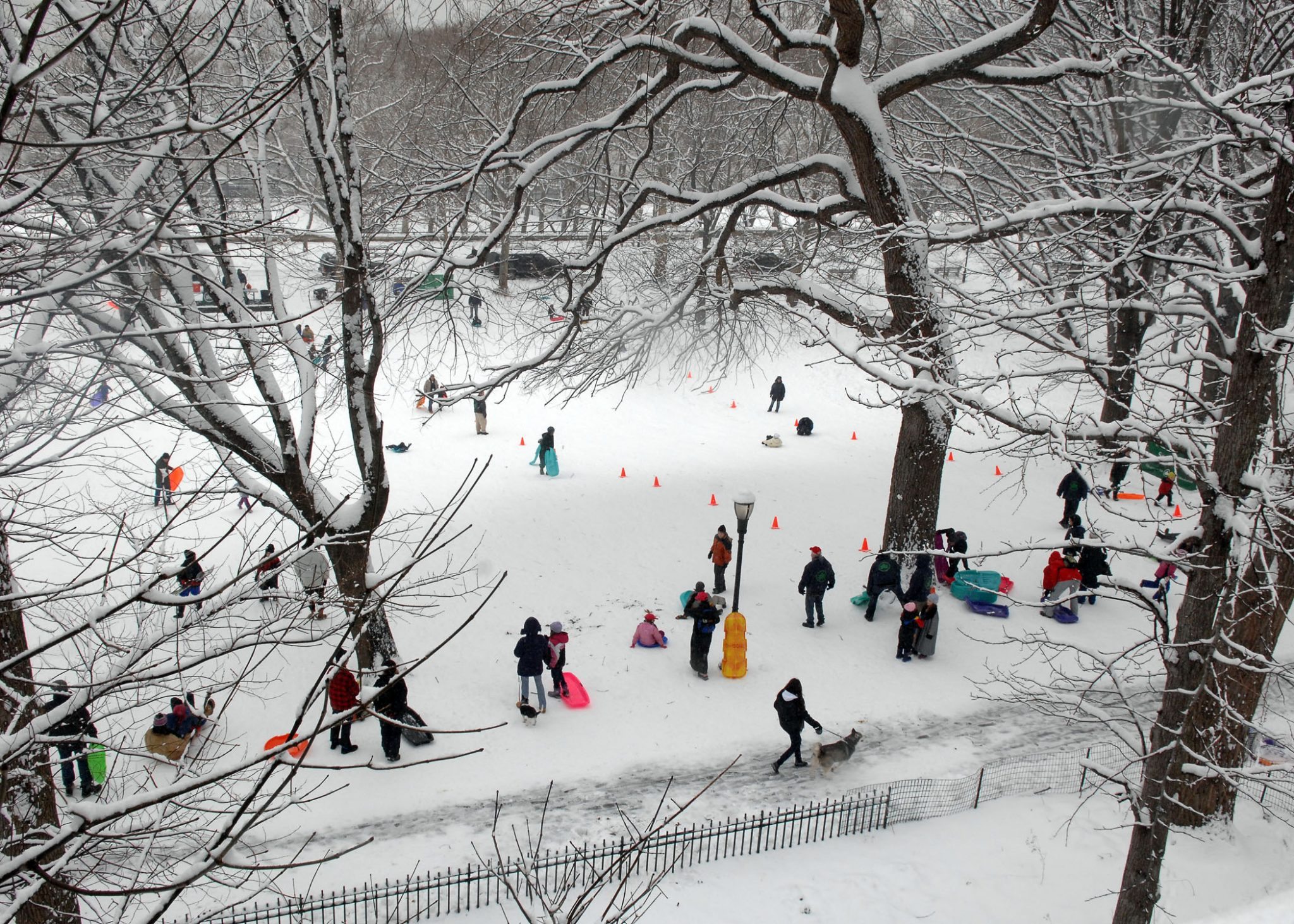 Best Winter Activities in New York