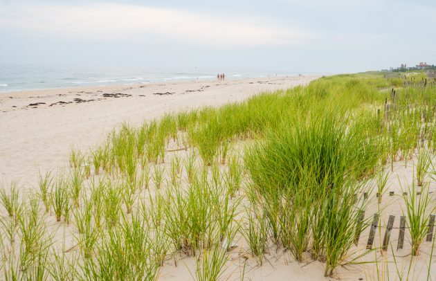 Coopers Beach in Southhampton, New York during summertime.