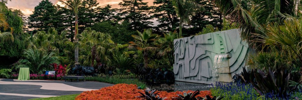 Brazilian Modern: The Living Art of Roberto Burle Marx