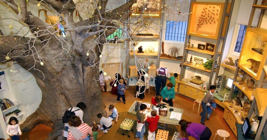 Gateway Storytime In The Discovery Room