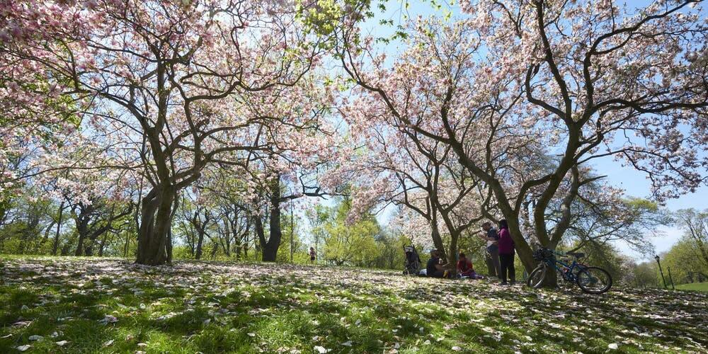 Spring Fling in Prospect Park