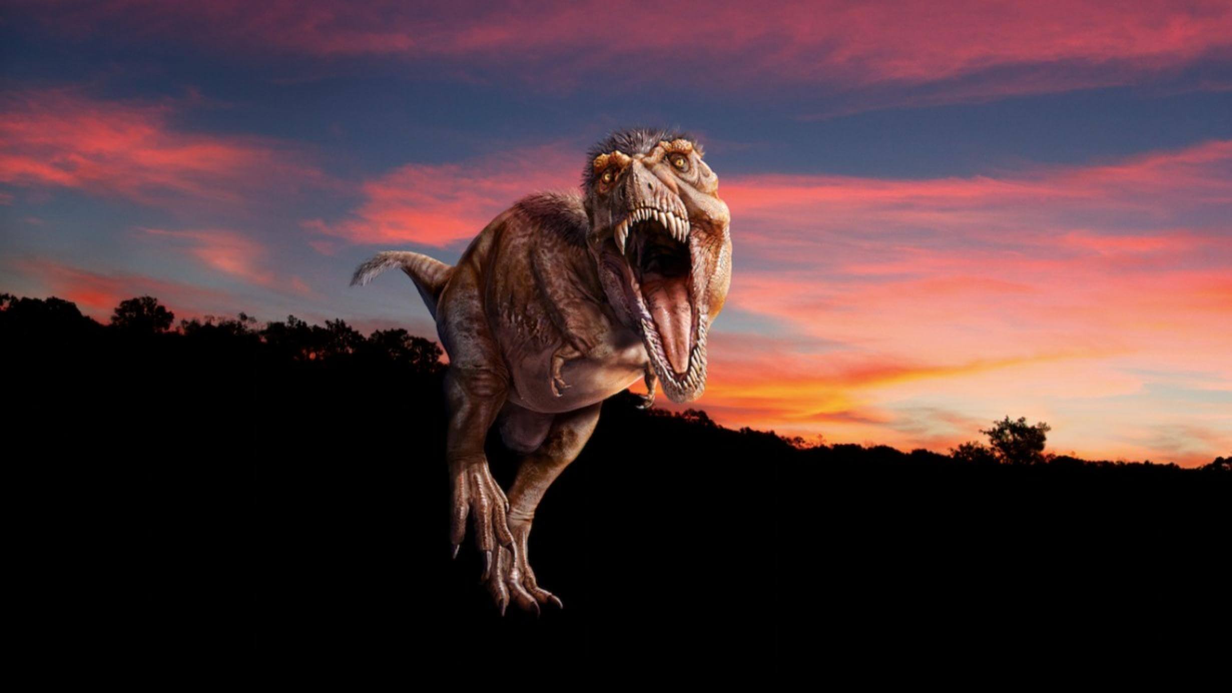 T. Rex: The Ultimate Predator