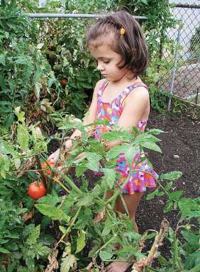 Benefits of home gardening