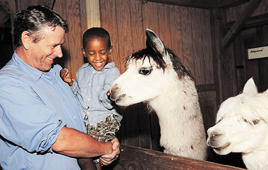 Ready to Get Wild? Check out Wild Arts Weekend at the Prospect Park Zoo