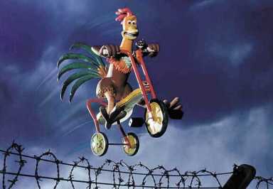 Run for the Chickens