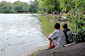 Fishing around