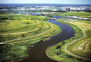 Fresh kills: The ultimate green makeover