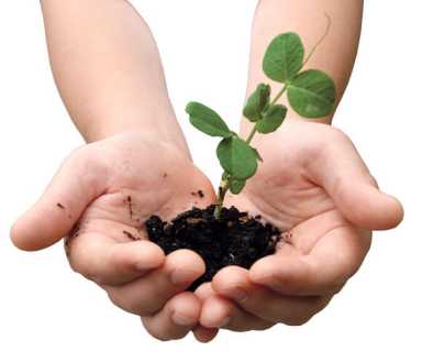 Go green all year long