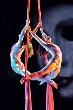 Amazing aerial feats