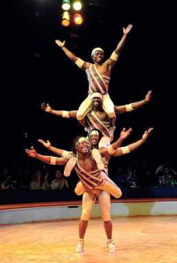 Circus dances on