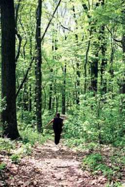 High Rock Park