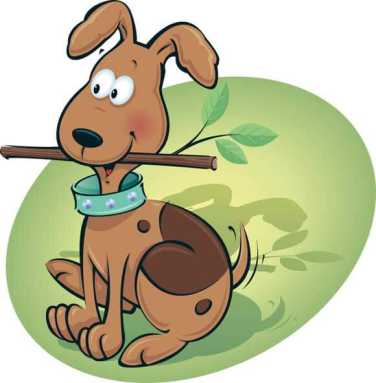 The great pet debate