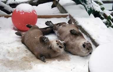 Zoo fun in December