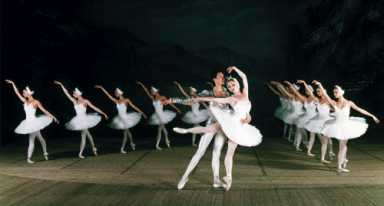 Ruffling some feathers