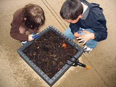 It’s a dirty job: All about worms
