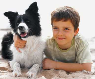 What happens to my pets if something happens to me?
