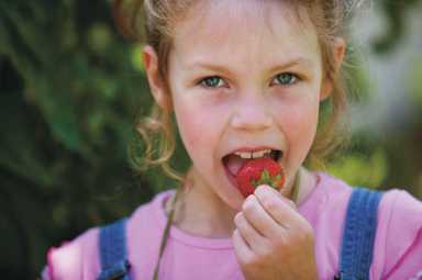 Healthy snacks for summer’s big appetites