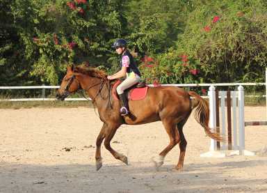 horseback-riding-casa-de-campo