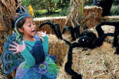 Boo at the Zoo at the Bronx Zoo