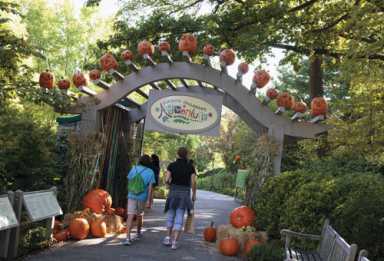 October fun at the Garden!