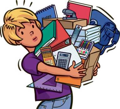 School organization
