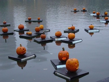 Pumpkin Sail