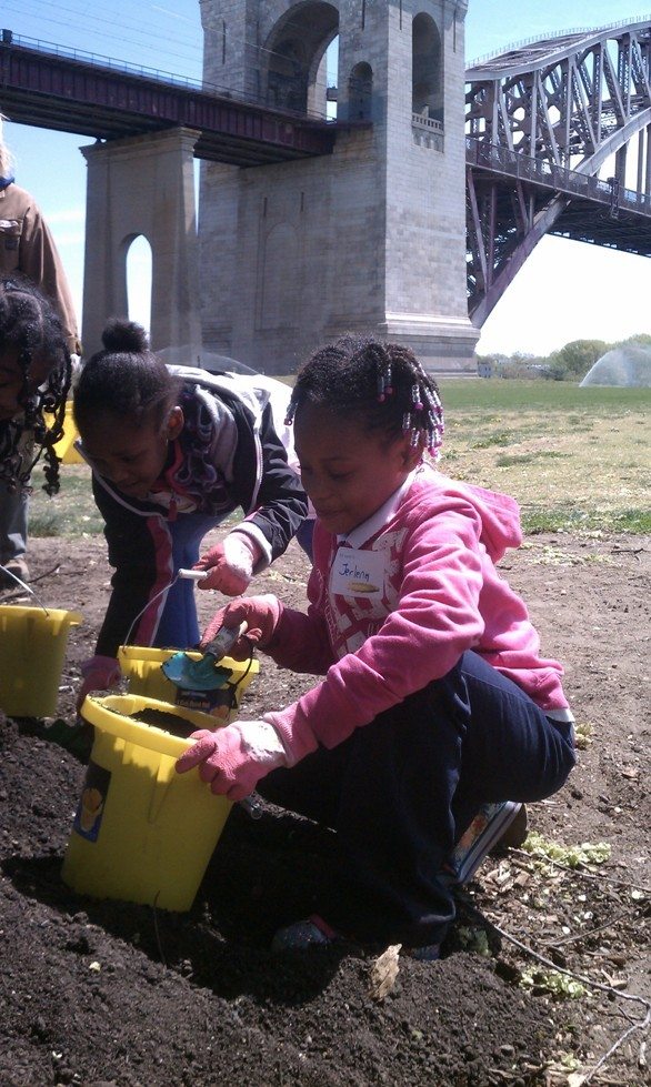 Grow To Learn — PS279 student in Randalls Island Learning Garden