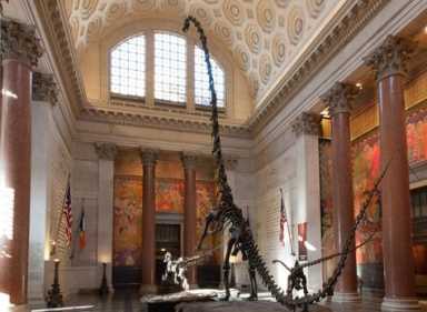 theodore-roosevelt-rotunda_dynamic_lead_slide