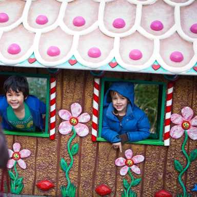 NYBG: Holiday Train Show, Tree Lighting Ceremony