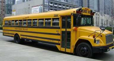 bus