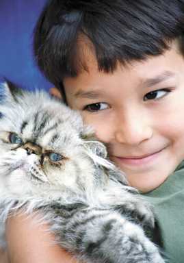 How to provide for a pet after death