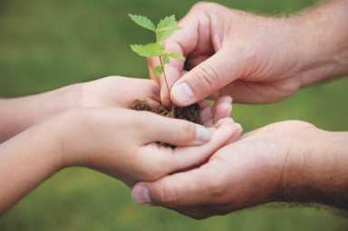 Seven ways to green your school