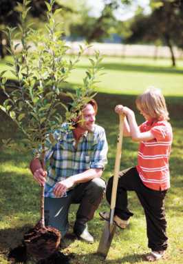 Help kids with special needs spring into action