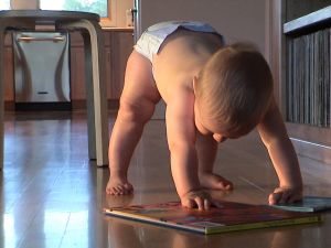 429641_baby_with_books