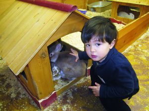 Art Farm in the City