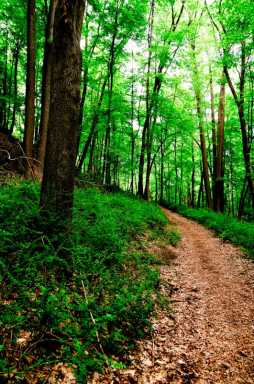 Bear-Mountain-State-Park-photo-by-EJP-Photo
