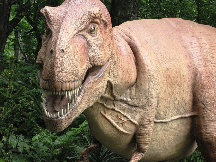 Bronx Zoo Dinosaur Safari 1