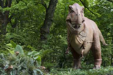 _Julie Larsen Maher 5584 Dinosaur Tyrannosaurus BZ 05 15 13