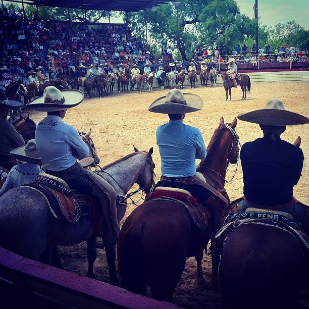 28be3150aac211e2a8b322000a1f9691_7