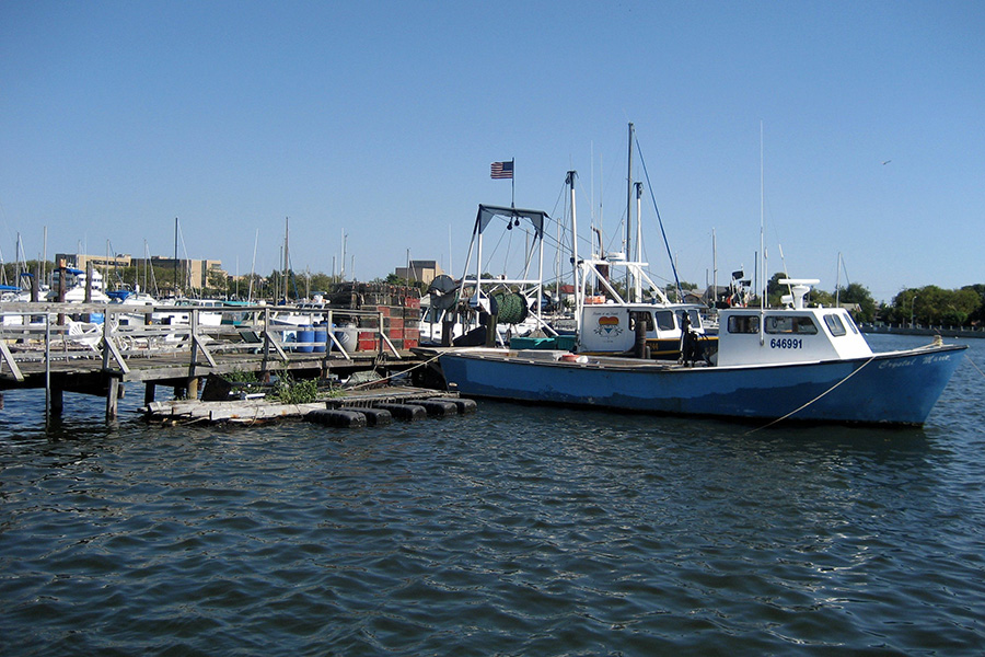 Fishing-at-Sheepshead-Bay-2-photo-by-Wally-Gobetz