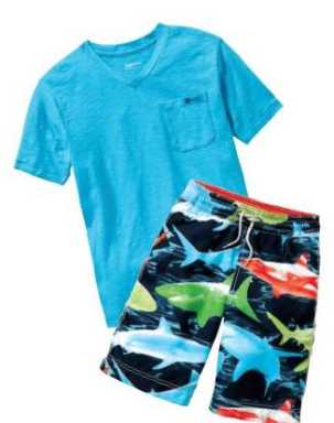 beach-boys1
