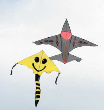 Go fly a kite!