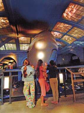 Spend a night at the museum