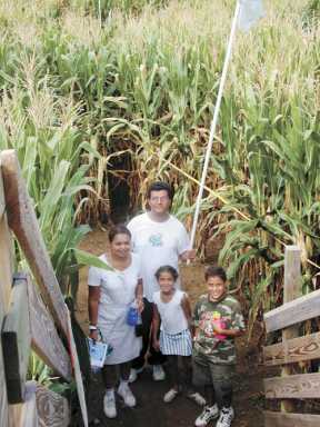 Simply a-Maize-ing