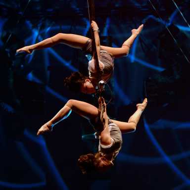 big-apple-circus-luminosity