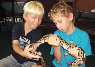 Kids can learn about animals at the center – and help to brush and feed them, too!