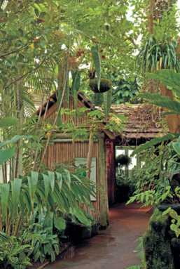 A tropical vacation in the Bronx