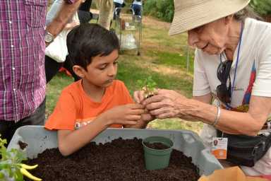 10615470626_c20d78bc57_z