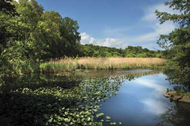 Van Cortlandt Park Lake — the Seventh Wonder